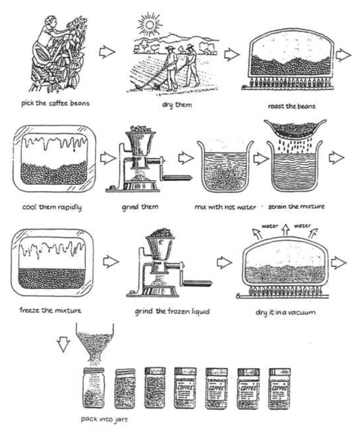 Instant Coffee A Process IELTS